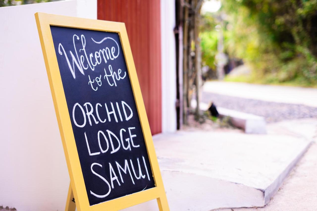 Orchid Lodge Samui - Bed & Breakfast ラマイビーチ エクステリア 写真