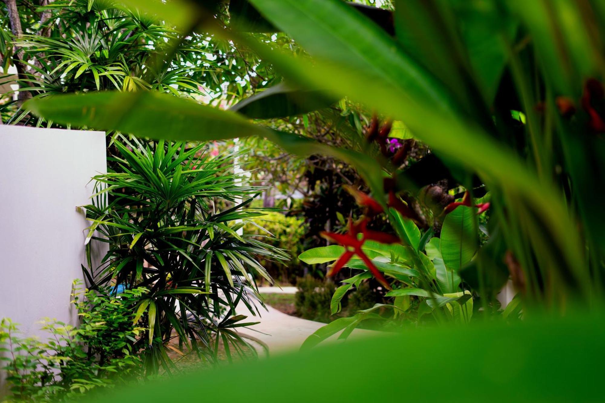 Orchid Lodge Samui - Bed & Breakfast ラマイビーチ エクステリア 写真