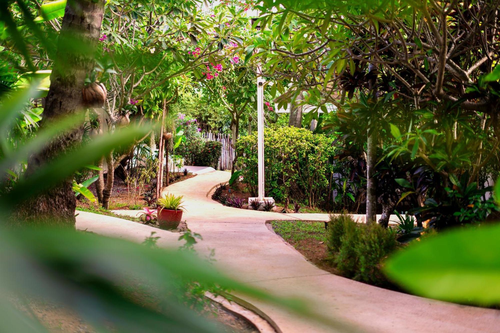 Orchid Lodge Samui - Bed & Breakfast ラマイビーチ エクステリア 写真