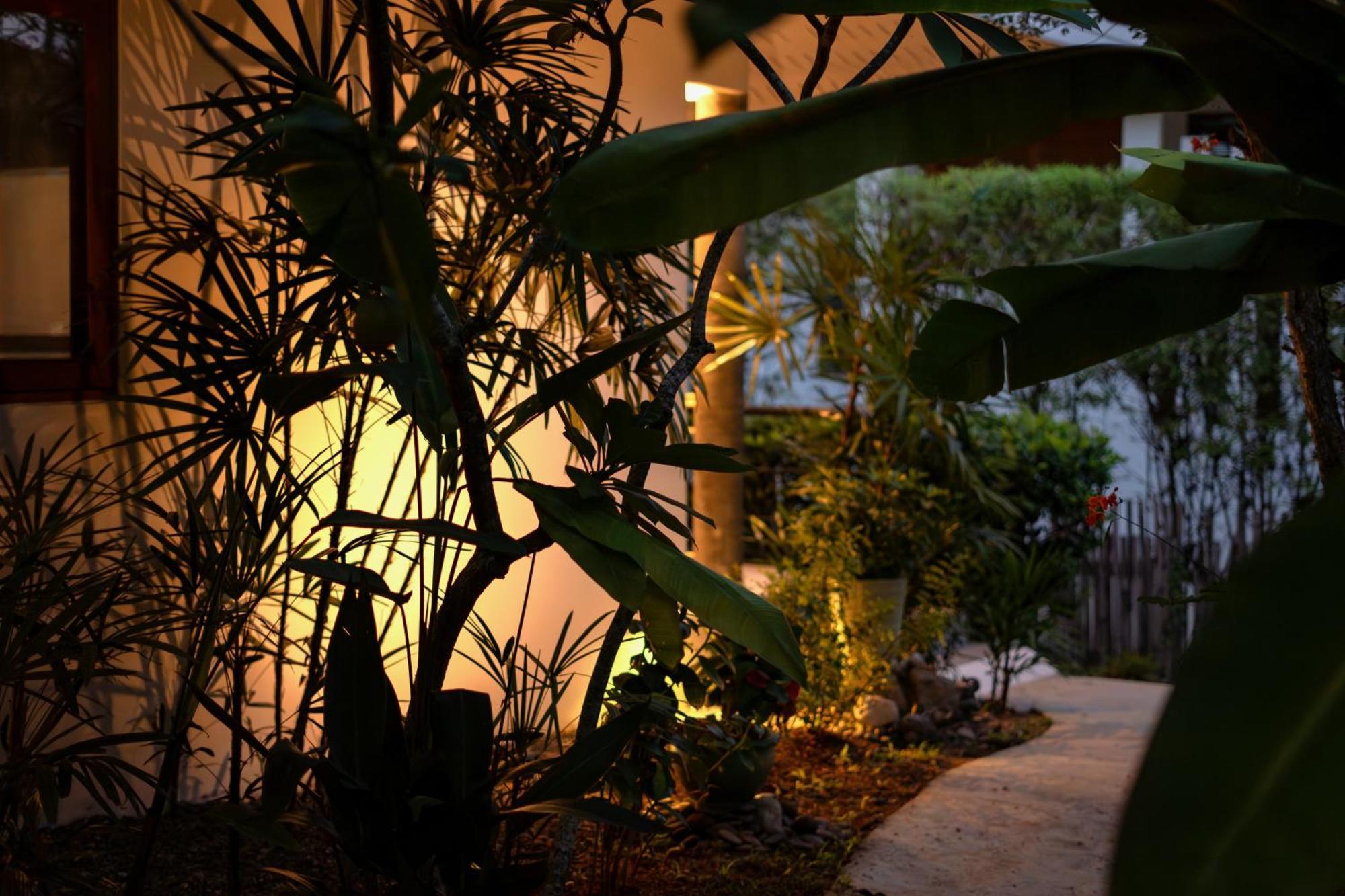 Orchid Lodge Samui - Bed & Breakfast ラマイビーチ 部屋 写真